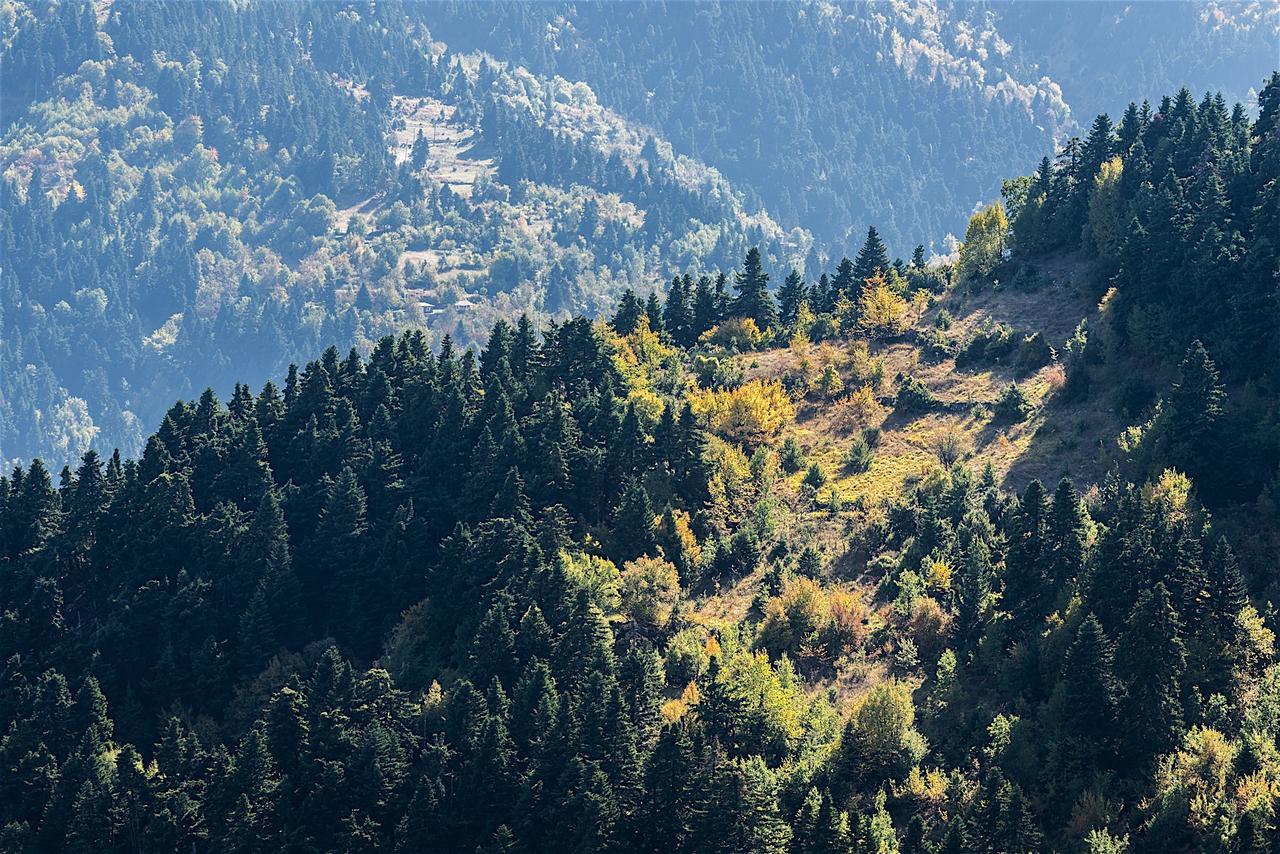 Koutsikouris Hotel Platanakos Exteriér fotografie