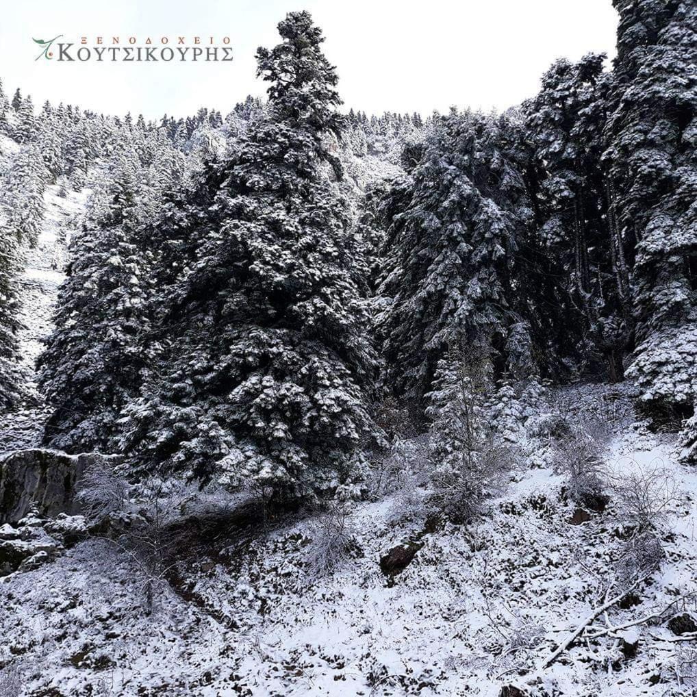 Koutsikouris Hotel Platanakos Exteriér fotografie